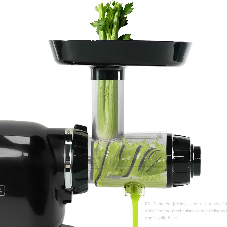 Cold Press Juicer Machine, MEGAVITA Slow Juicer Cold Press with Auger, Low Decibels Juicers for Whole Fruit and Vegetable,Black