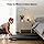 Walking Pad Treadmill
