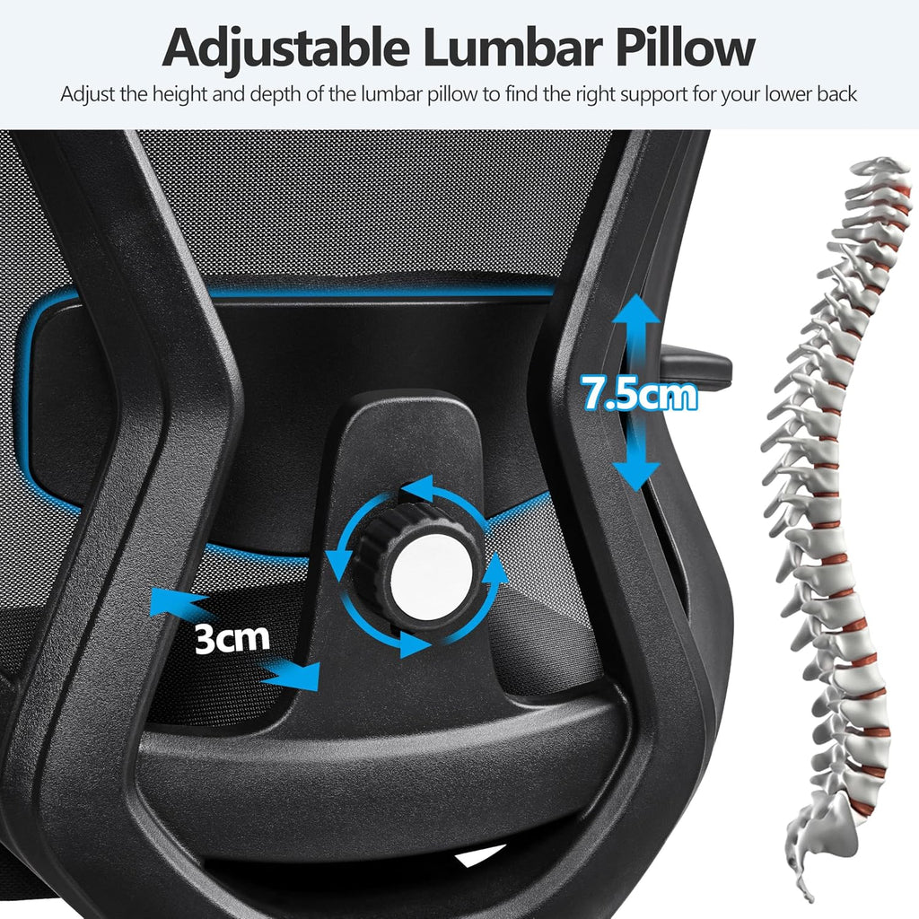 Yaheetech Ergonomic Desk Chair with Adjustable Lumbar Support Black